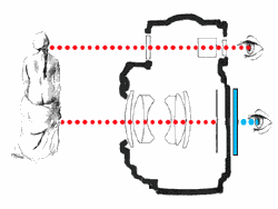 Please click here for detailed viewing