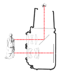 Please click here for detailed viewing